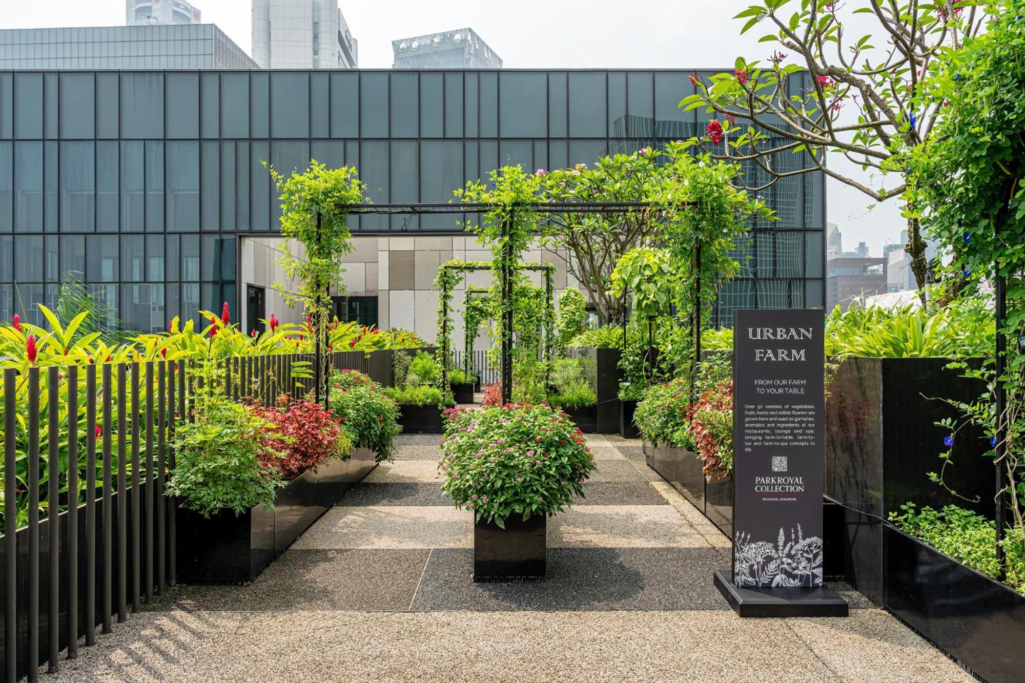 Parkroyal Collection Pickering, Szingapúr Kültér fotó The photo shows an urban farm setup, featuring neatly arranged plants in large black containers. There are various types of greenery, including shrubs and small trees, providing a lush and vibrant atmosphere. A pathway runs through the garden, leadin